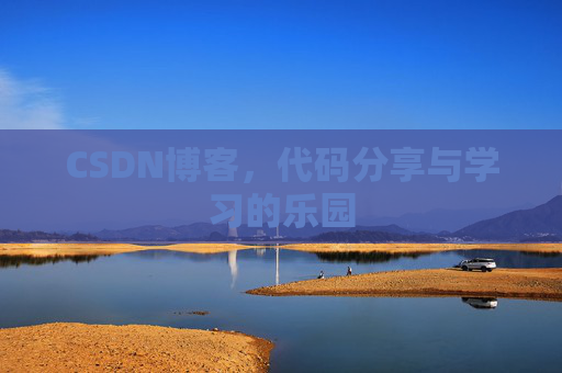 CSDN博客，代码分享与学习的乐园